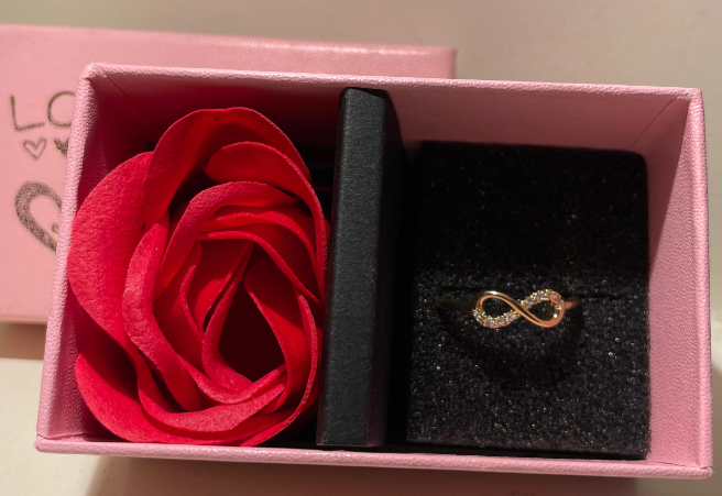 RAIRA Infinity Ring Infinity Engagement Rings Women 14K Gold Plated