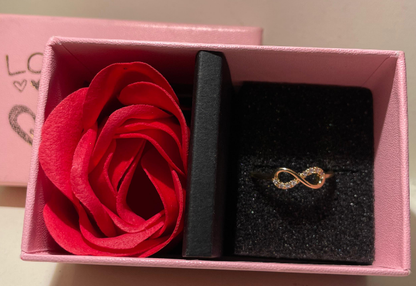 RAIRA Infinity Ring Infinity Engagement Rings Women 14K Gold Plated