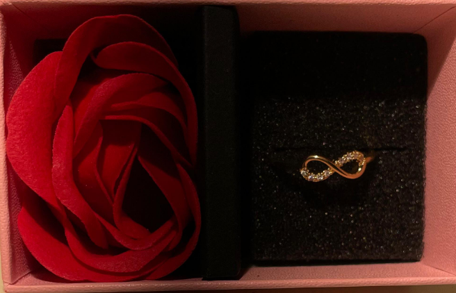 RAIRA Infinity Ring Infinity Engagement Rings Women 14K Gold Plated