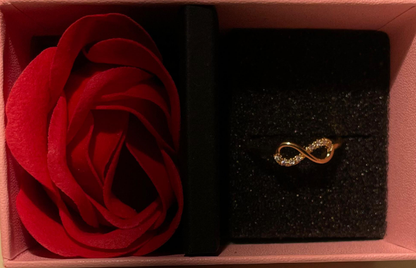 RAIRA Infinity Ring Infinity Engagement Rings Women 14K Gold Plated