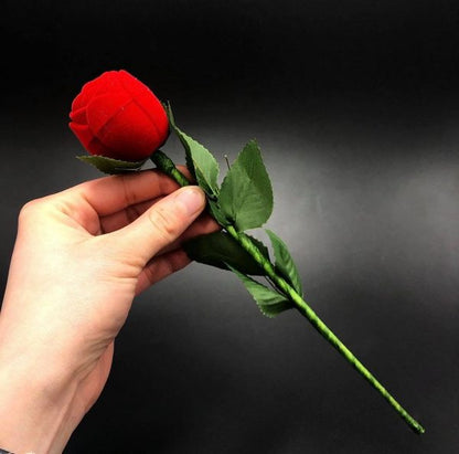 Propose ring with box