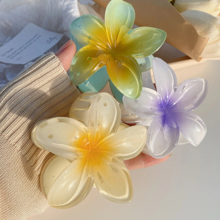Raira Floral Hair Clips, Colorful Flower Design, Versatile Hair Accessory For Women & Girls