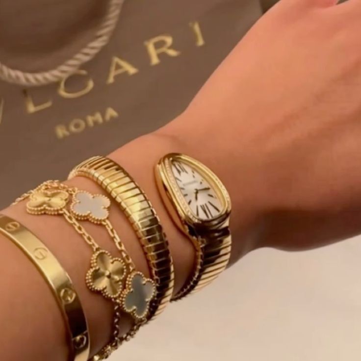 RAIRA Ladies Snake Bracelet Fashion Watch | Creative Quartz Analog Wristwatch with Oval Dial